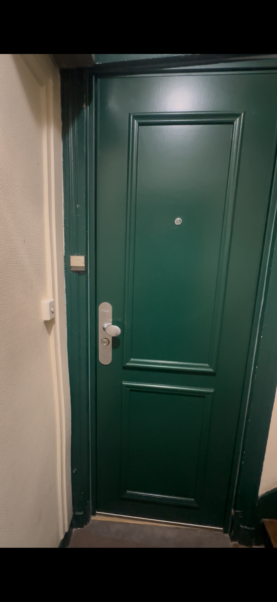 Porte blindée laquée verte à deux panneaux moulurés dans un palier parisien, avec serrure carénée en partie centrale